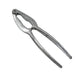 Stainless steel nut cracker with various nuts, including walnuts and almonds.