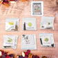 Flora and vegetable seed assortment showcasing hybrid and organic seeds for home gardens.