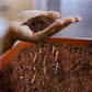 Organic Cocopeat Block, eco-friendly soil amendment for plant growth.