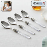 Elegant stainless steel dessert spoon set with transparent handles