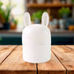 Bunny kitchen organizer box with lid open showing storage space