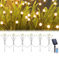 Warm white solar garden ball lights illuminating a pathway