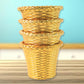 Premium Valencia style plastic planter pot showing durable construction