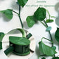 Leaf-shaped green plant climbing clips neatly arranged on a white background.