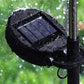 LED solar dandelion garden lights illuminating lawn area at night