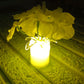 Close-up of the LED mood light base, showing the easy-to-use ON/OFF switch.