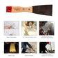 Various sizes of Putty Knife Set blades for different applications.