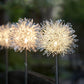 Solar LED dandelion garden lights displaying bright multicolor glow at night