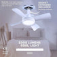 Remote control for ceiling fan with LED light