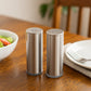 Kitchen salt and pepper shaker set in sleek stainless steel design