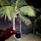 Small LED keychain flashlight held in hand for size comparison