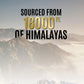 OG Wellness Natural power Himalayan Shilajit resin for strength and vitality