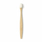 Sustainable wooden handle toothbrush for daily use