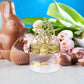 Baby bloom clear plastic favor box for candies and chocolates