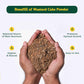Mustard cake fertilizer stimulating bloom in garden plants