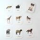 Example of giraffe animal flash card with bright colorful illustration
