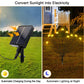 Multiple solar-powered garden ball lights glowing warmly at night