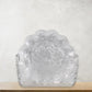 Close-up view of plastic flower plates set showing details