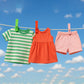 Plastic cloth clips with sturdy stainless steel spring
