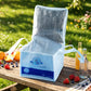 Portable lunch bag with carry handle for office or picnic