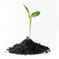 Natural organic vermicompost, providing essential nutrients for thriving plants.