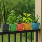 Set of 5 square plastic flower pots with removable trays in assorted colors for indoor gardening
