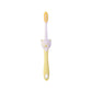 Two kids cartoon toothbrushes with fan toys in different colors