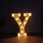 Close-up of LED bulbs in battery operated decorative night light
