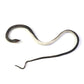 Durable rubber snake prank toy for playful tricks and scares
