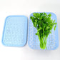 Neatly organized Kothmir Basket holding fresh green vegetables.
