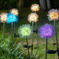 Dandelion style solar garden lights planted in outdoor yard shining bright