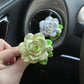10ML perfume bottle included with rose flower car air freshener clip