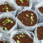 Stack of Styleva Organic Cocopeat Blocks, perfect for bulk home gardening.
