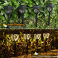 Graphic demonstrating how FitFuzion solar pathway lights provide up to 12 hours of illumination.