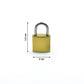 Detailed view of the textured surface of the FortiLock Imitation Copper Lock.