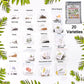 Close-up of vegetable and flower seeds mix from the 20 varieties combo for home gardening.