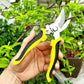 Close-up of stainless steel blades on pruning shears for precise cutting