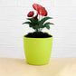 Durable plastic flower pot with a round shape, ideal for indoor and outdoor plants.