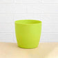 Round plastic flower pots displayed in a garden setting, suitable for all weather.