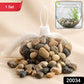 Pack of smooth, mixed color river pebbles for aquariums, vases, and outdoor use