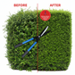 PillowTrek hedge shear in action, shaping a garden topiary plant.