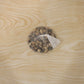 Versatile decorative stones in a modern home decor setting.