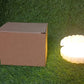 Decorative Pearl Shell Night Lamp reflecting light beautifully on a surface.