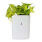 Compact hanging planter pot showcasing its space-saving design for small areas.