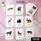 Spread of vibrant animal flash cards featuring realistic pictures for learning