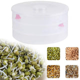 White 3 compartment sprout maker with mung beans inside, ready for sprouting.