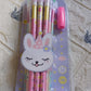The complete 14-piece Kids Pencil Set, ideal for creative activities and gifting.