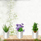 Multicolour hanging planter pot displayed against a wall, perfect for a vertical garden.
