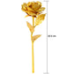 Varied placement examples of golden rose decoration set for interiors
