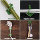 Vine plant fixing clips securing climbing plants on wall